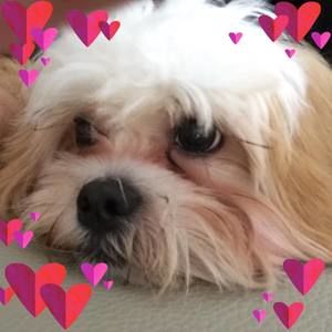 Meet your Posher, Judy